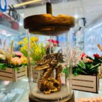 جاعودی آبشاری پیرکس طرح اژدهای طلایی