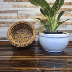 سبد نظم دهنده سایز کوچک مخصوص گل سر و بدلیجات